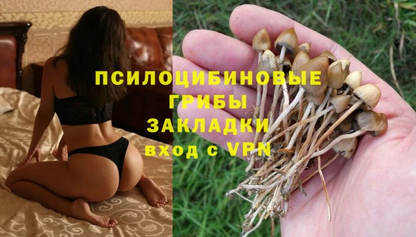 ALPHA-PVP Баксан