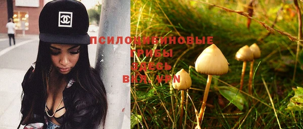 PSILOCYBIN Балахна