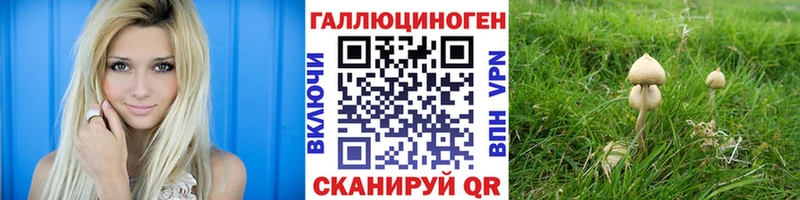 где купить наркотик  Нязепетровск  Галлюциногенные грибы Magic Shrooms 